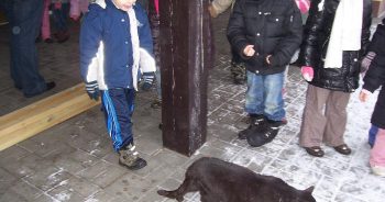 Świąteczna zbiórka