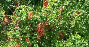 Wiosenne barwy
