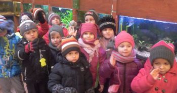 Poznajemy punkty usługowe – sklep zoologiczny