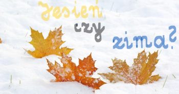Listopadowa pogoda – czy to już zima?