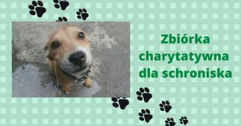 Akcje charytatywne