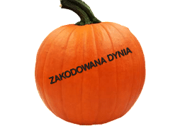 Zakodowana dynia…
