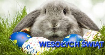 Skacze zajączek po lesie i świąteczne życzenia Wam niesie…
