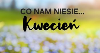 Kwietniowa migawka…