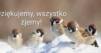 Śnieg zasypał pola, lasy, kto nakarmi głodne ptaki?