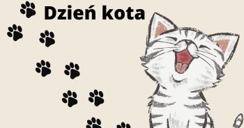 Miauczy kotek miauuu…