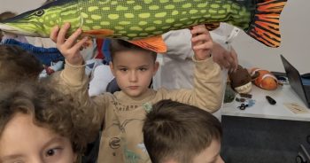 Kręgowce duże i małe…