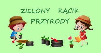 Zakładamy wiosenne ogródeczki w sali…