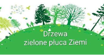 Dzień Drzewa…