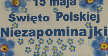 Święto Polskiej Niezapominajki…